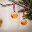 Christmas Tree Ornament Clear Plastic Bottle 17oz 1 Pack 4