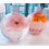 Christmas Tree Ornament Clear Plastic Bottle 17oz 1 Pack 5