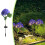 Solar Garden Light Stake with Sensor 20 LED Warm White 1