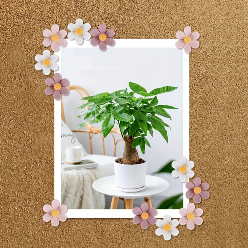 Punaises à fleurs colorées (20/30/50 pièces) 1