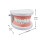 Anatomical Teeth Model Realistic Dental Decor 1pc 3