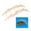 Da Vinci Bridge Pathfinders Houten Constructie Model Kit 6