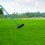 Professional Golf Putter Head Double Shaft Portable 3