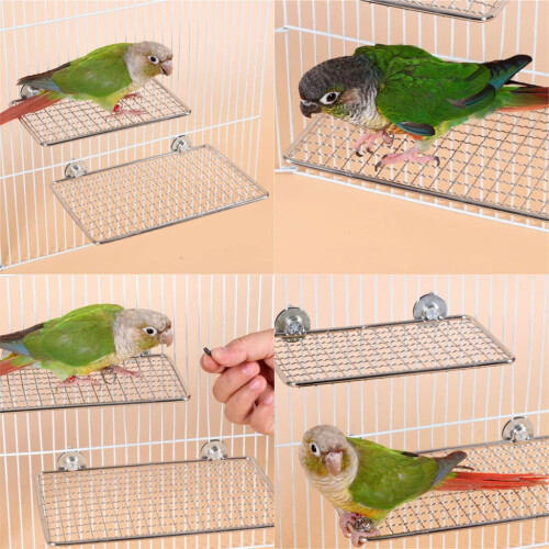 Bird Perch Platform Stand Stainless Steel for Small to 1