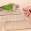 Bird Perch Platform Stand Stainless Steel for Small to 4