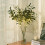 Lighted Olive Branches with Timer Vase for Home Decor 3