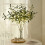 Lighted Olive Branches with Timer Vase for Home Decor 6