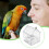 Pull-Out External Parrot Feeder for Finch and Hummingbird 8