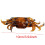 Soft Fish Crab Lure for Saltwater Fishing with Sharp Hooks 6
