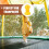 Trampoline Enclosure Pole Caps 20 Pcs 5