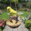 Tree Stump Bird Feeder Resin 11x11x9cm 7