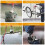 Fishing Magnet Kit 140kg Pull Force with 20m Rope Carabiner 3