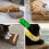 Cardboard Cutter for Cat Scratchers 3D Printed Handheld Tool 7