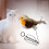 Electric Cat Toy Gray Feathered Plush with Squeaker 8