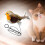 Electric Cat Toy Gray Feathered Plush with Squeaker 6