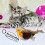 Electric Cat Toy Gray Feathered Plush with Squeaker 7