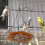 Outdoor Hanging Bird Feeder and Bath Orange 7