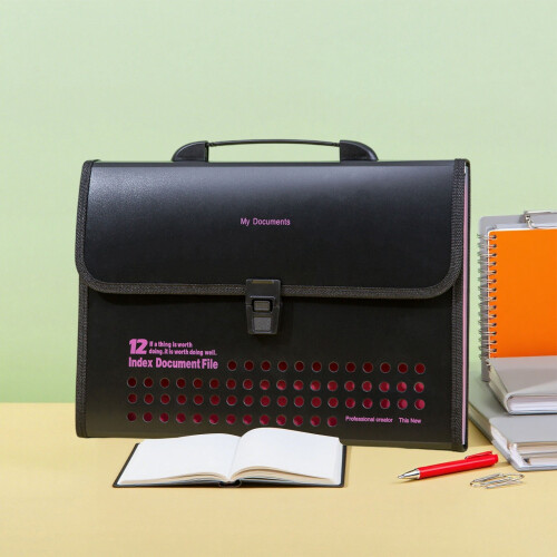File Folder Accordion Bag A4 12-Pocket Polypropylene 1