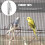 Parakeet Bell Toy Stainless Steel 1 Pack 3