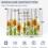 Κουρτίνες κουζίνας Sunflower Vintage Αγροικία Tier Rod 3