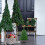 Silberner Weihnachtsbaum, 30 cm, künstlicher Mini-Kiefernbaum mit Lametta 8