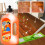 Scented Floor Cleaning Solution for Robot Vacuums Orange 1L 2