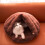 Washable Cotton Dog Bed for Small Dogs Medium 2