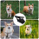 HEMOTON Black Cloth Puppy Muzzle for Small Dogs 1 Piece 3