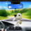 Cute Dog Bobblehead Resin Decor 1 piece 5