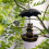 Bird Feeder Creative Animal Shape Water Tray for Balcony 7