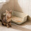 Cat Litter Tray Semi-Enclosed Extra Large Durable 6