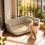 Cat Litter Tray Semi-Enclosed Extra Large Durable 4