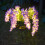 Solar Flower Garden Lights Outdoor Waterproof 2 Pack 4