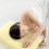 Disposable Pillow Protectors Plastic Polyester 2-Pack 4
