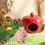 Ceramic Hamster Hideout - Shaped, Natural Cooling, 2