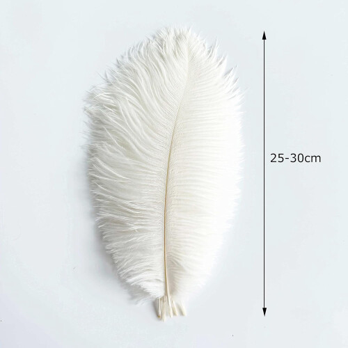 Ostrich Feathers Natural White 10-12 Inch 20 Pcs 1