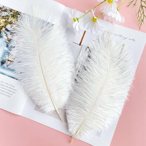 Ostrich Feathers Natural White 10-12 Inch 20 Pcs 2