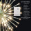 15 inch 60 LED 3D Starlight Burst Warm White 10 Function 5