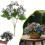 Artificial Butterfly Decor 3D Printed 11.4 Inch 2