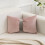 Pink Bow Pillow Soft Decorative Throw Pillow 30x50cm 1