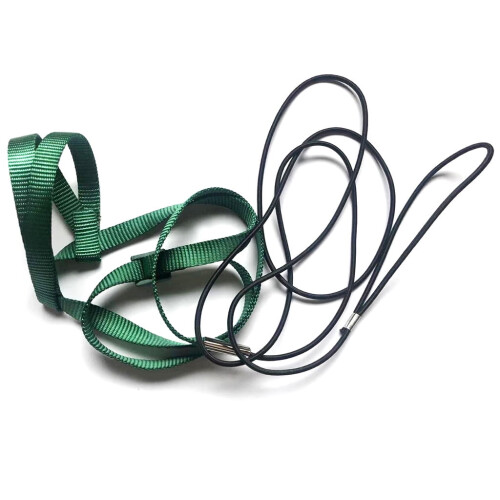 Bird Harness Leash for Small Parrots and Cockatiels