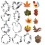 Stainless Steel Cookie Cutter Set 12-Piece 3