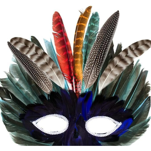 Turkey Pheasant Duck Feathers for Crafts 40 pcs 2