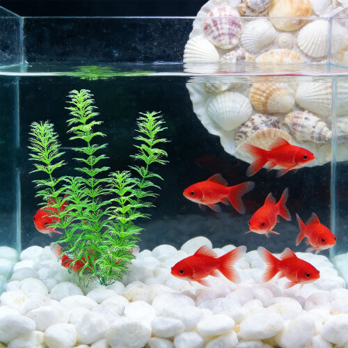 Décorations de Pâques : lapins suspendus en acrylique (15 pièces) 1