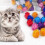 Cat Sparkle Balls Assorted Colors 50 Pieces 2