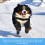 Waterproof Reflective Dog Suspender Boots Nonslip 6