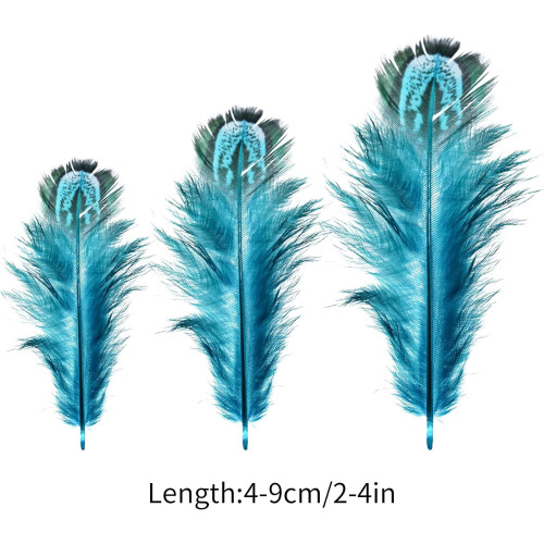 Natural Blue Pheasant Feathers 2-3 inch 200 pcs 1