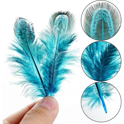 Natural Blue Pheasant Feathers 2-3 inch 200 pcs 2