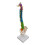 Colored Human Spine Skeleton Model with Stand and Pelvis 4