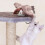 Flapping Bird Cat Toy Rechargeable Touch-Activated 7
